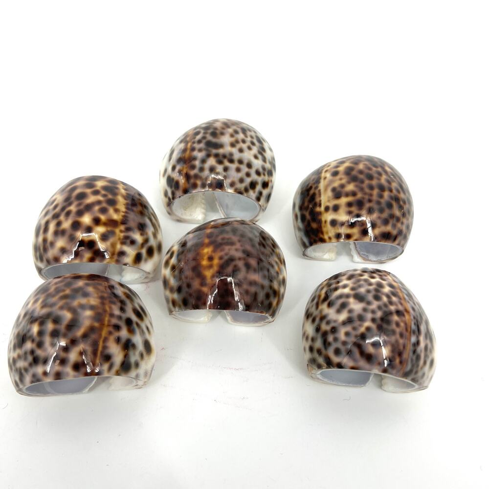 Vintage Tiger Cowrie Shell Napkin Rings  Cypraa Tigris Set of 6